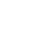 localseoseattle.com